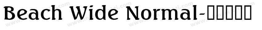 Beach Wide Normal字体转换